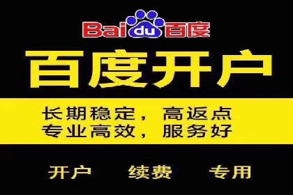 深度解析：百度竞价排名的成功案例及启示